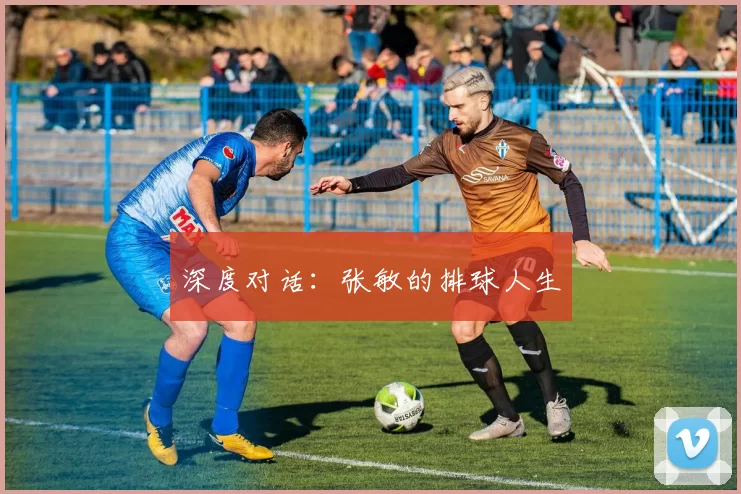 深度对话：张敏的排球人生