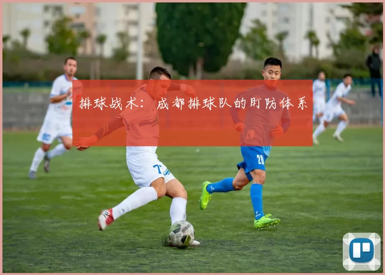 排球战术：成都排球队的盯防体系