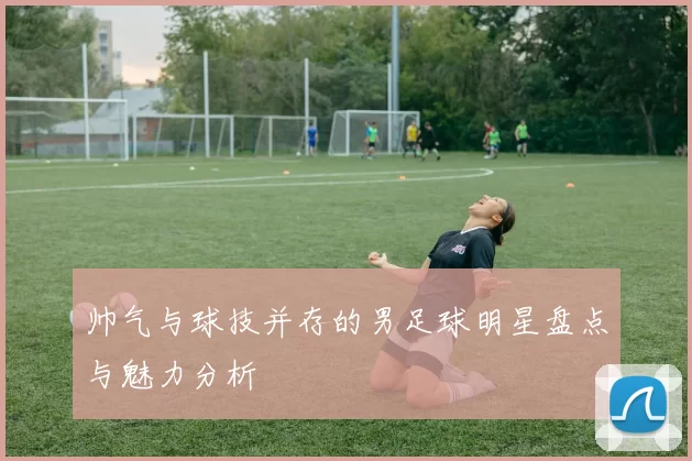 帅气与球技并存的男足球明星盘点与魅力分析