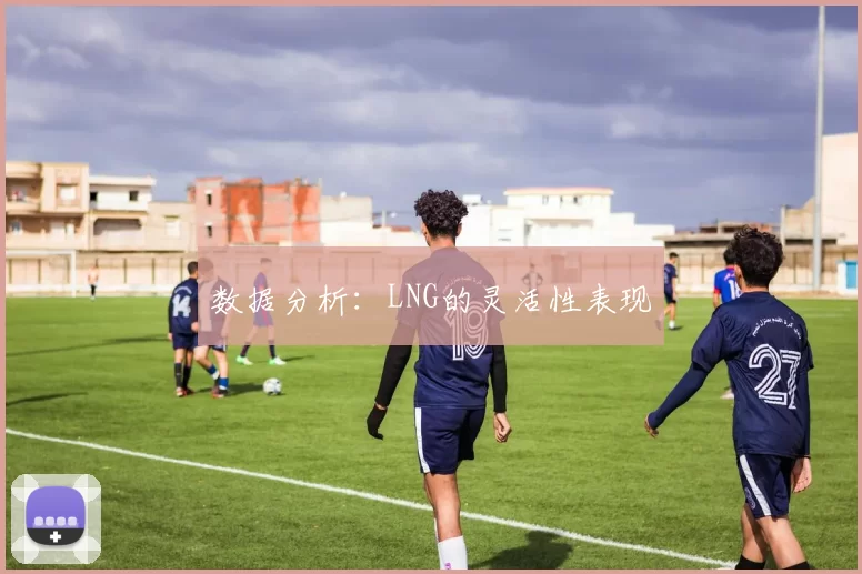 数据分析：LNG的灵活性表现